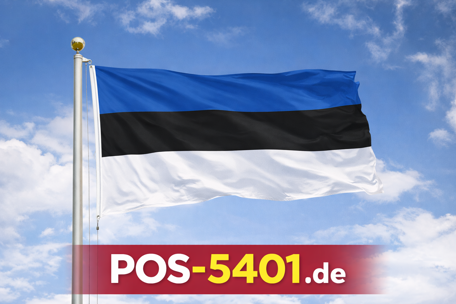 Gastlandflagge / Fahne Estland