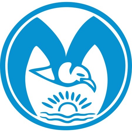 Oberflächenbehandlung - Polieren - Polierschwamm – Bild 2